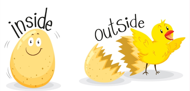 Guess the Opposite Words – Sounds Easy? 95% of Players Fail Miserably