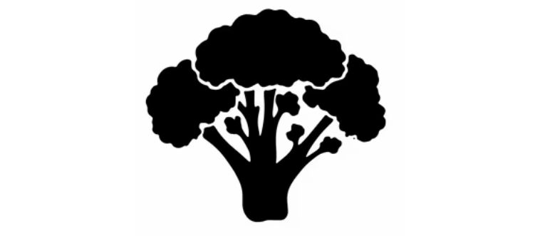 Can you identify this botanical silhouette?